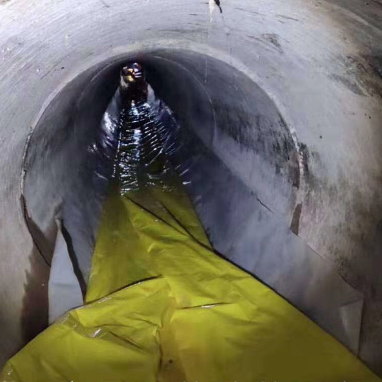 巴马管道光固化修复